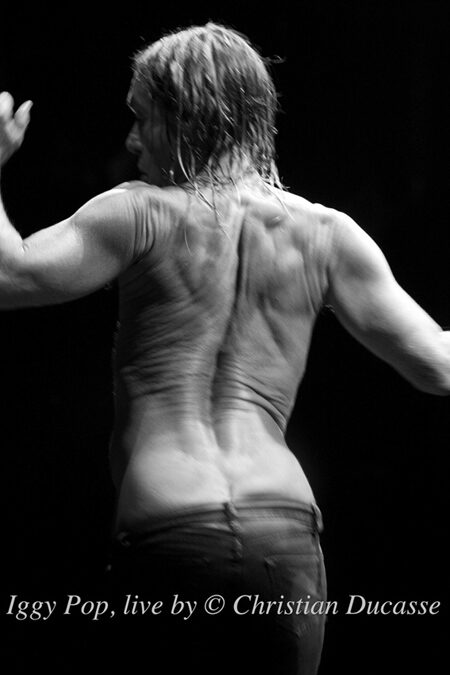 Iggy Pop